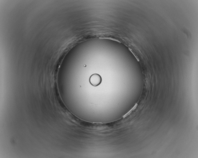 X0000113020716200909101838