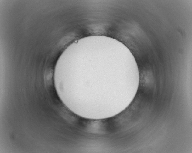 X0000113020717200909101838