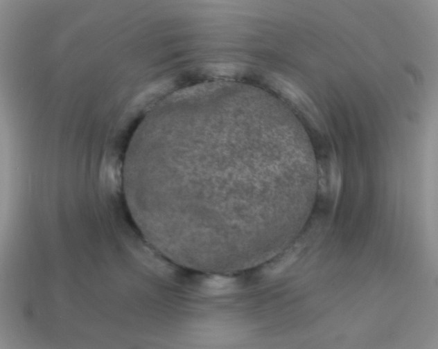 X0000113020718200909101838