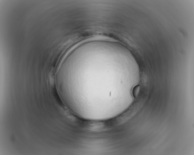 X0000113020719200909101838