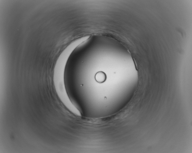 X0000113020720200909101838
