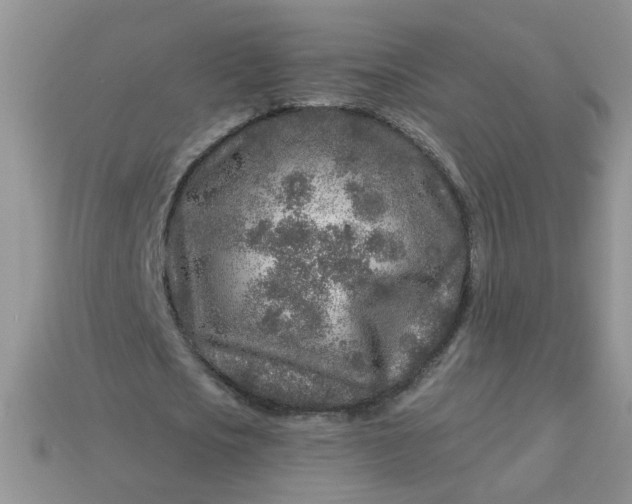 X0000113020721200909101837