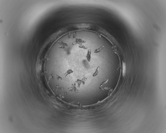 X0000113020723200909101837