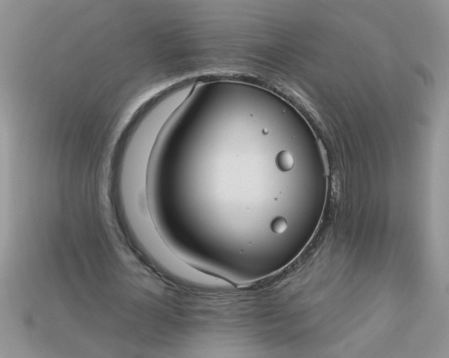 X0000113020724200909101837