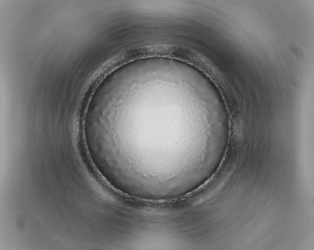 X0000113020725200909101837