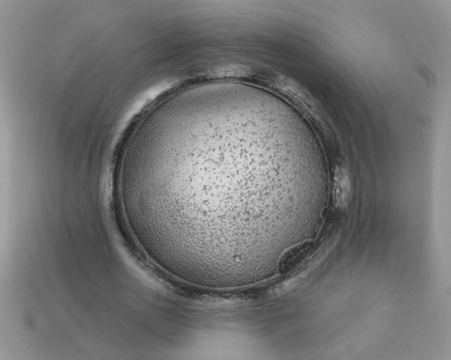 X0000113020726200909101837