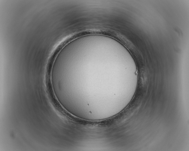X0000113020728200909101837