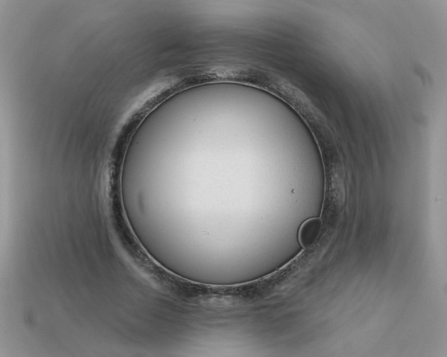 X0000113020730200909101837