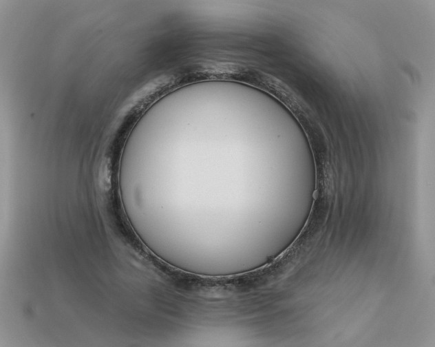 X0000113020731200909101837