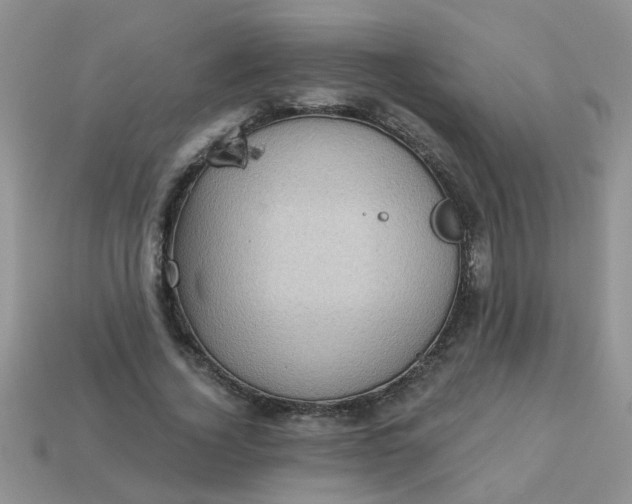 X0000113020732200909101837