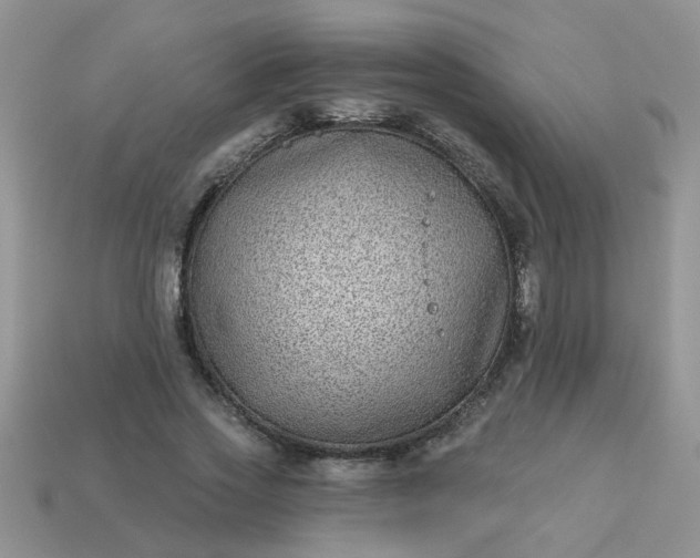 X0000113020733200909101837