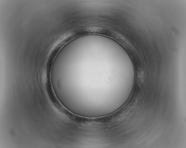 X0000113020734200909101837