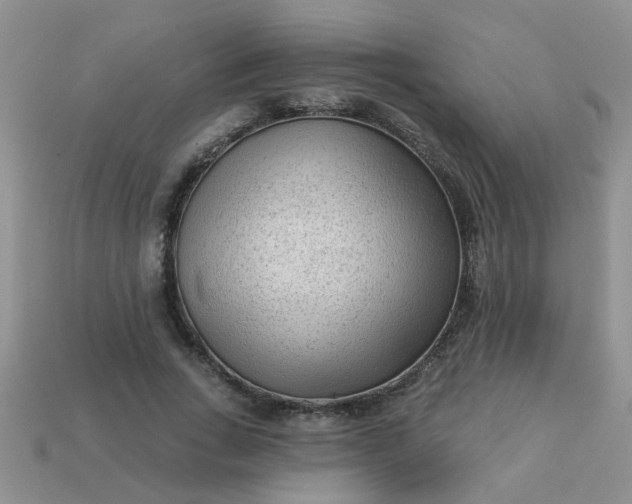 X0000113020735200909101837