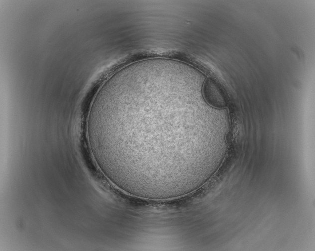 X0000113020736200909101837