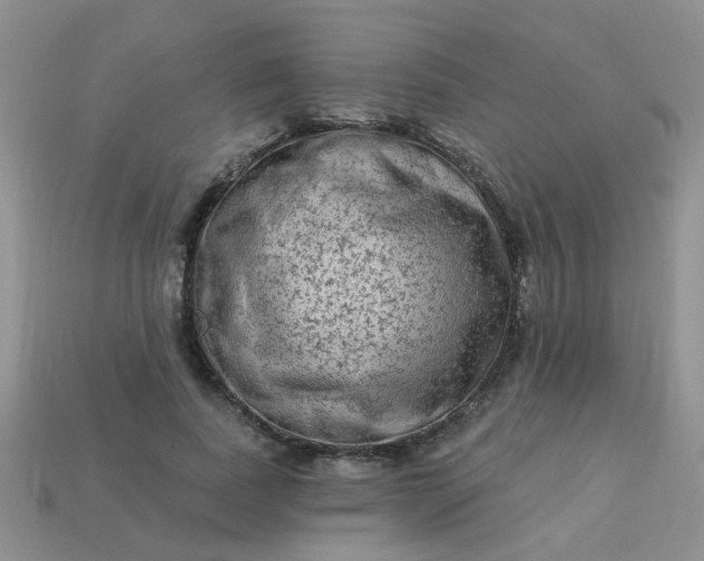X0000113020739200909101837