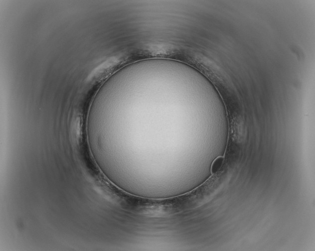 X0000113020740200909101837