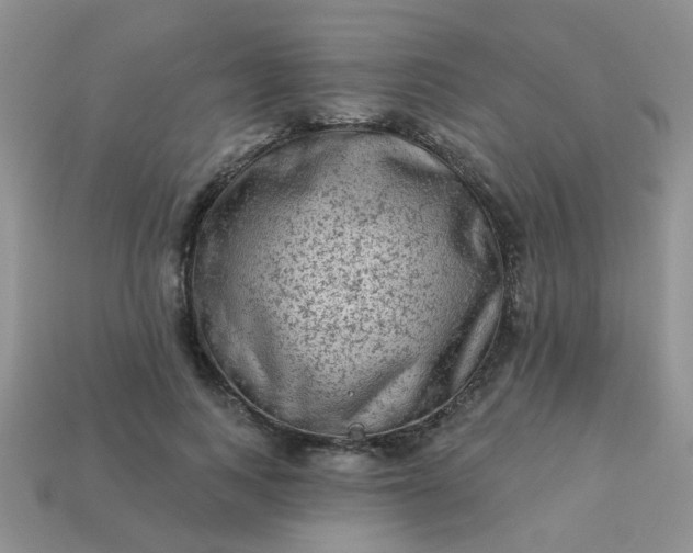 X0000113020743200909101837