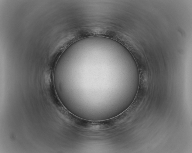 X0000113020746200909101837