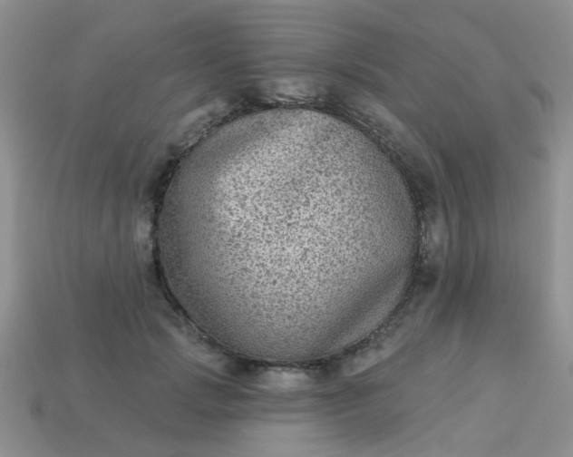 X0000113020749200909101837
