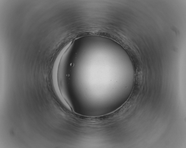 X0000113020750200909101837