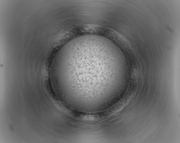 X0000113020751200909101837