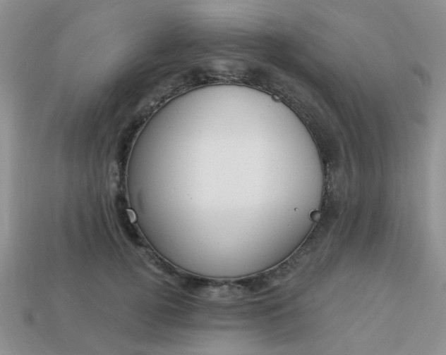 X0000113020752200909101837