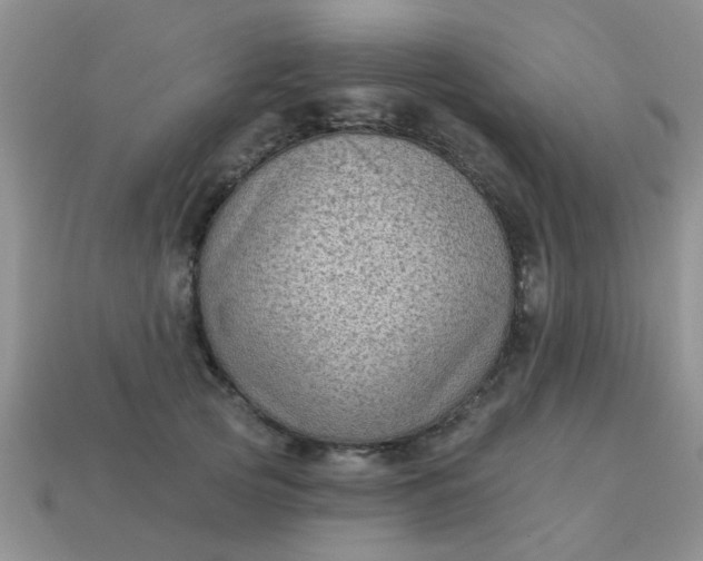 X0000113020753200909101837