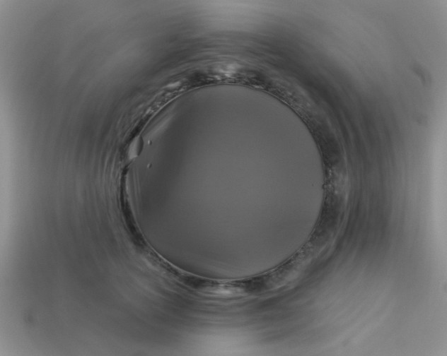 X0000113020754200909101837