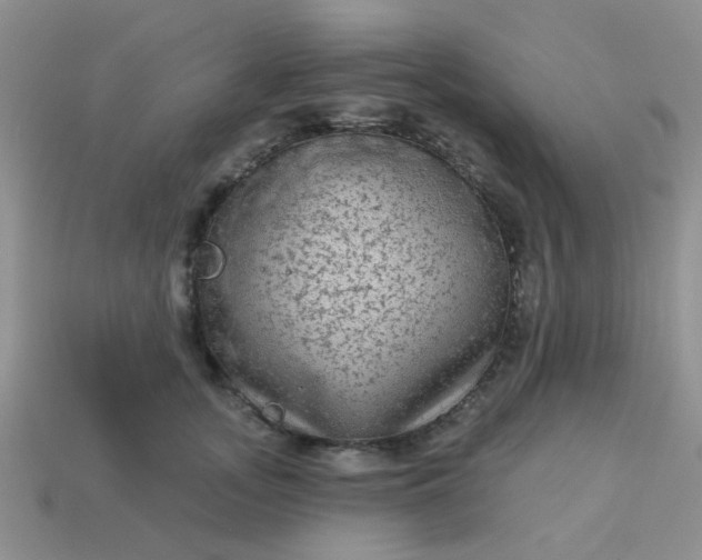 X0000113020755200909101837