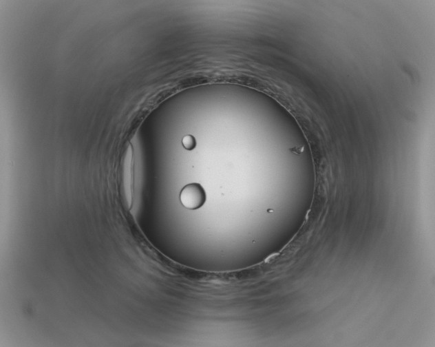 X0000113020756200909101837