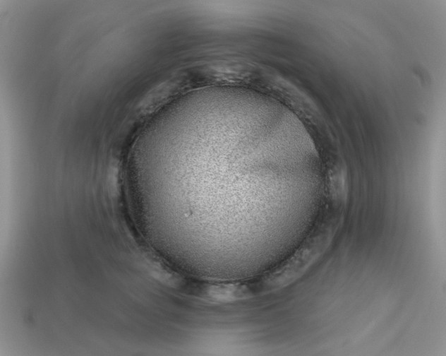 X0000113020757200909101837