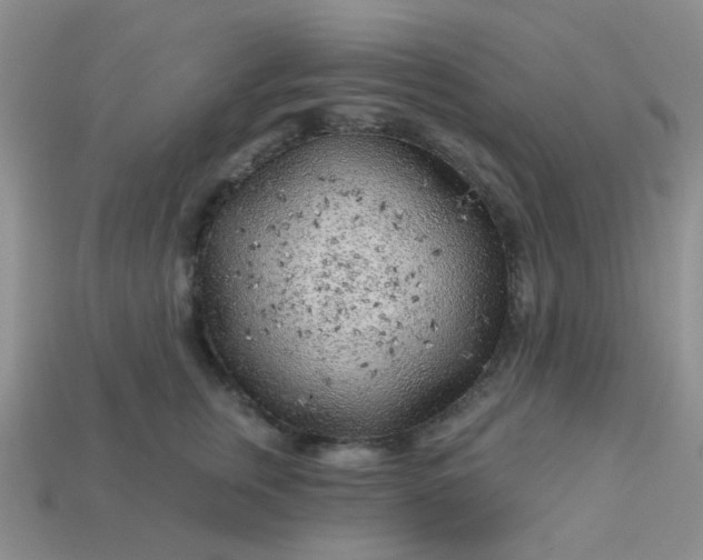 X0000113020759200909101837