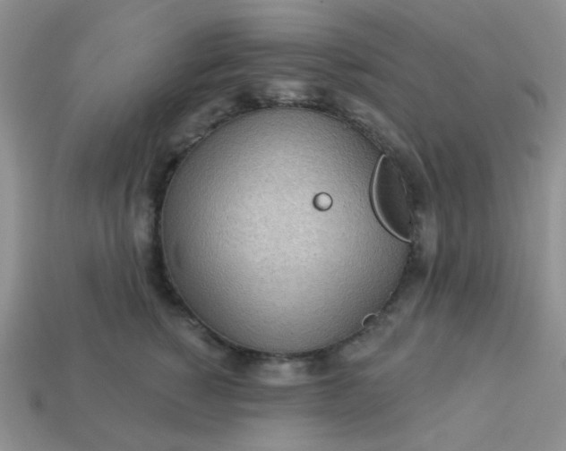 X0000113020760200909101837