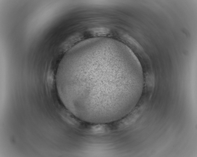 X0000113020761200909101837
