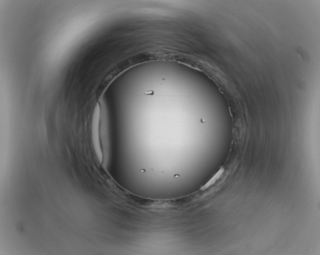 X0000113020762200909101837