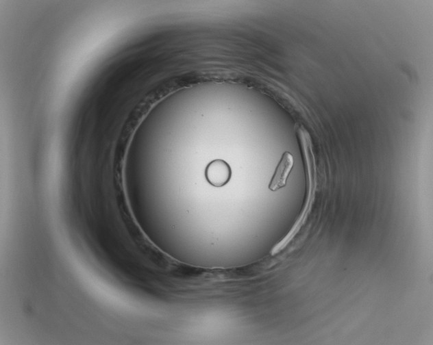 X0000113020764200909101837