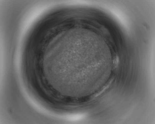 X0000113020765200909101837