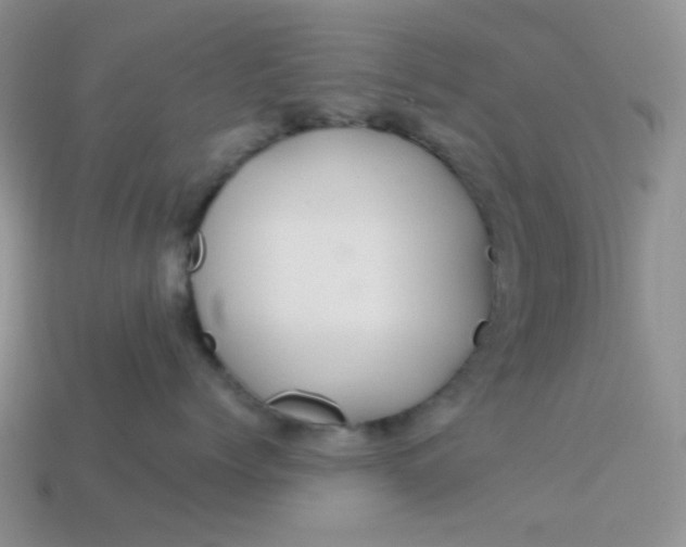 X0000113020768200909101838