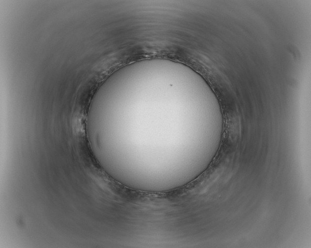 X0000113020770200909101837