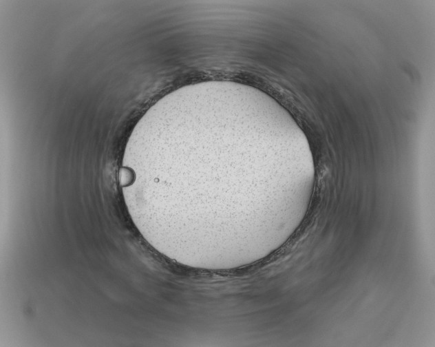 X0000113020772200909101837