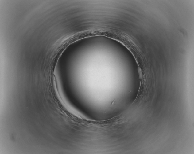 X0000113020773200909101837