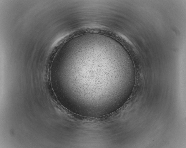 X0000113020775200909101837