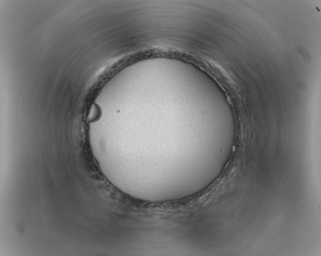 X0000113020776200909101837