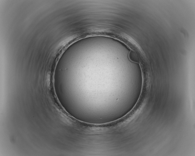 X0000113020777200909101837