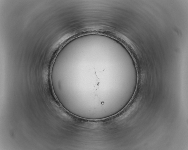 X0000113020778200909101837