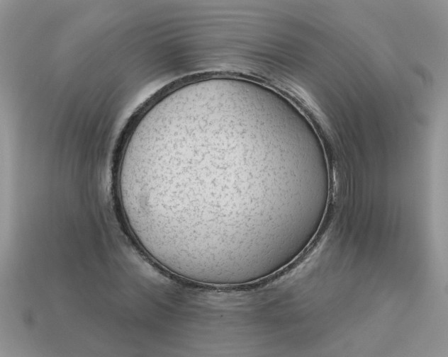X0000113020780200909101837
