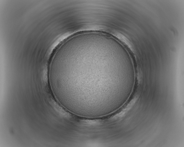 X0000113020781200909101837