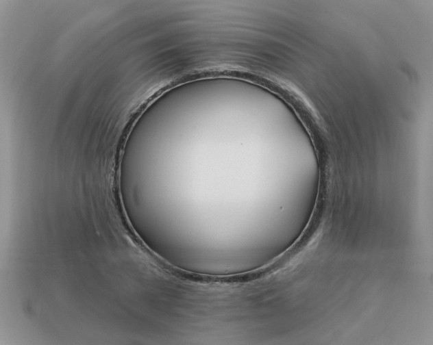 X0000113020785200909101837