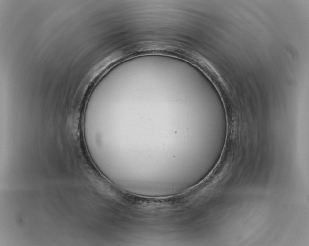 X0000113020786200909101837