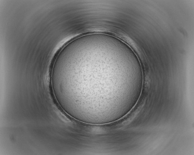 X0000113020787200909101837